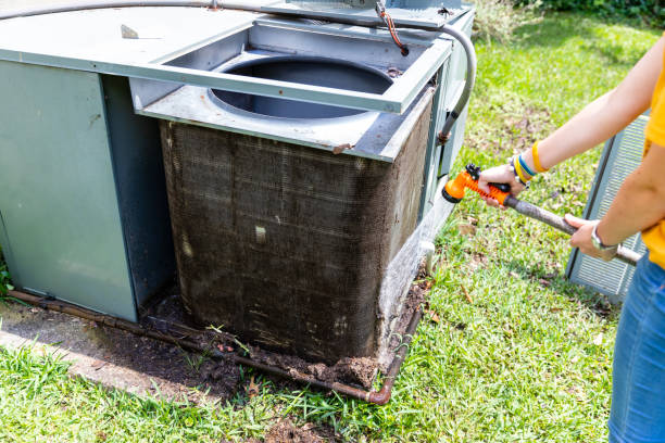 Best Air Vent Cleaning Services  in Duluth, MN