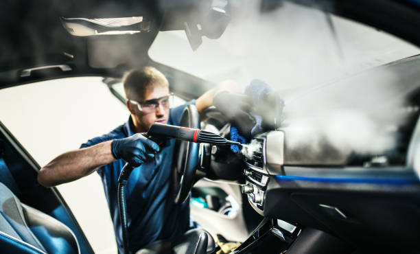 Best Air Duct Mold Removal  in Duluth, MN