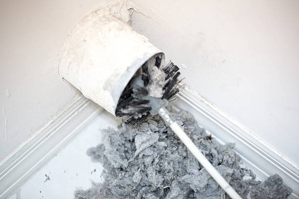 Best Dryer Vent Cleaning Services  in Duluth, MN